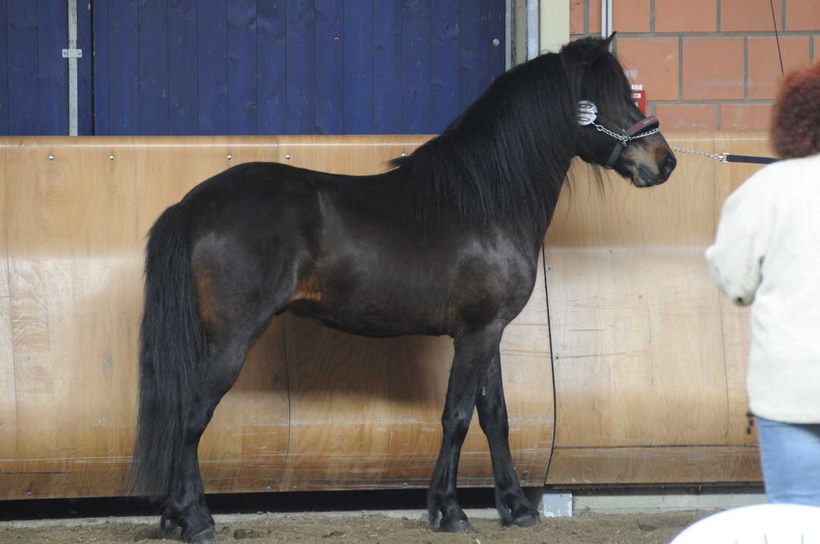 Hrimnir von Roetgen